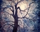 December Moon
