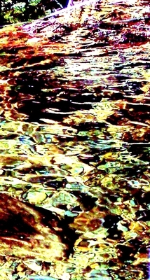 Organic Design 7