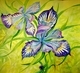 Pacific Iris