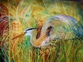 Silent Among the Reeds/ or Wetland's King